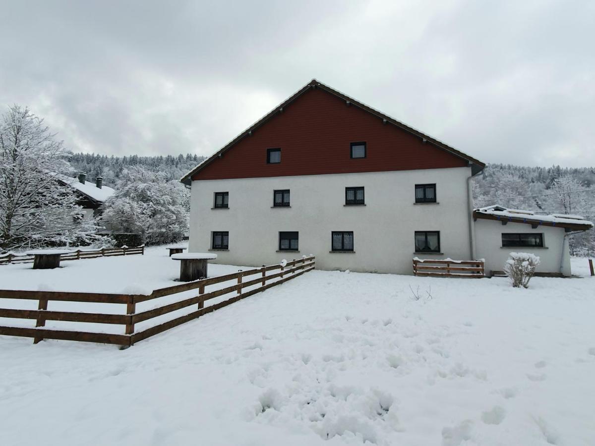 Appart Le Cerf 4 Etoiles 74M2 Cornimont Eksteriør billede